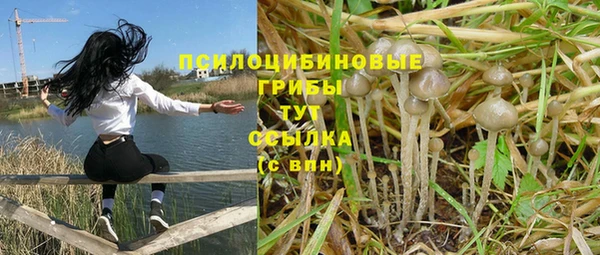 MDMA Premium VHQ Аркадак