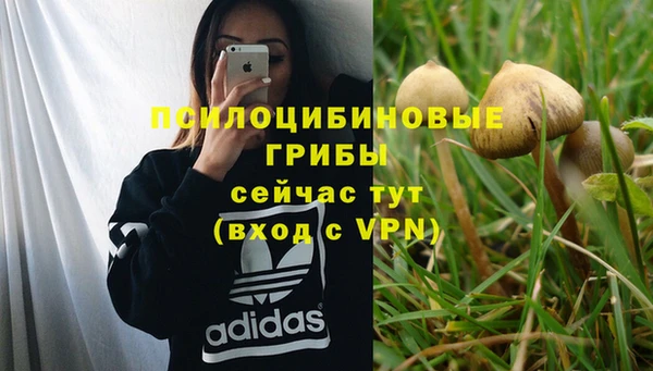 стафф Арсеньев